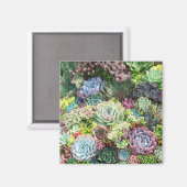 Aimant Jardin coloré Succulent (Recto/Verso)