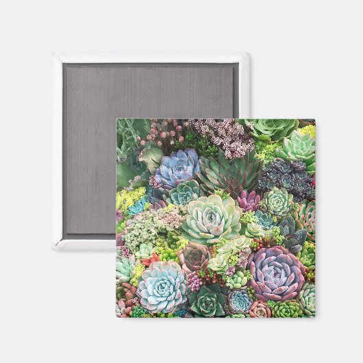Aimant Jardin coloré Succulent (Recto/Verso)