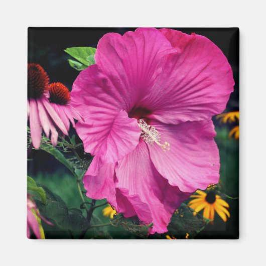 Aimant Jardin de fleurs d'hibiscus et d'amis (Devant)