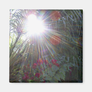 Aimant Jardin de lumière du soleil