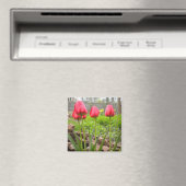 aimant Jardin de Tulip (In Situ (Lave-vaisselle))
