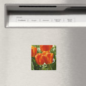 Aimant Jardin de tulipes printanières (In Situ (Lave-vaisselle))