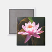 Aimant Jardin d'eau rose rose Nénuphar éclairé (Recto/Verso)