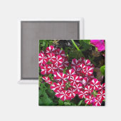 Aimant Jardin d'été (Recto/Verso)
