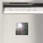 Aimant Jardin ensoleillé (In Situ (Lave-vaisselle))