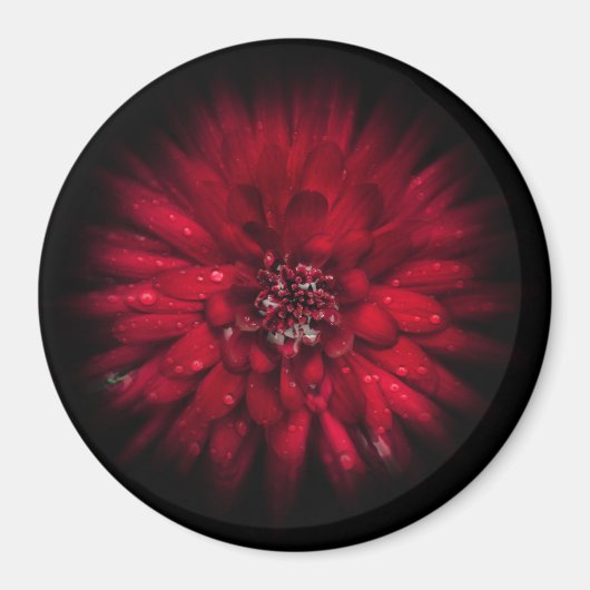 Aimant Jardin Fleurs No 45 Version de flux couleur (Devant)