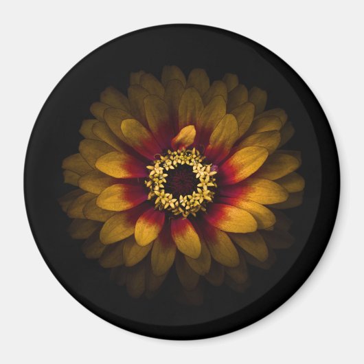 Aimant Jardin Fleurs No 69 Version couleur (Devant)