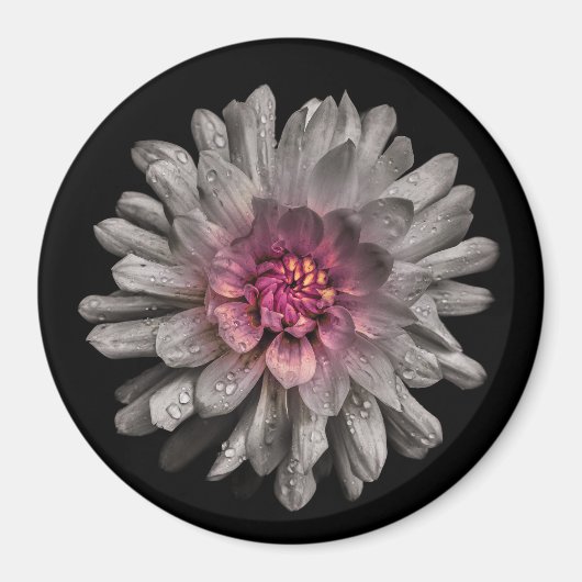 Aimant Jardin Fleurs No 91 Version couleur (Devant)