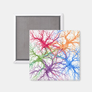 Aimant Jardin Neural