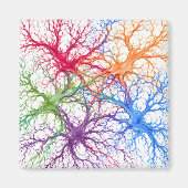Aimant Jardin Neural (Devant)