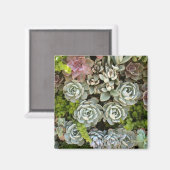 Aimant Jardin Succulent 1 (Recto/Verso)