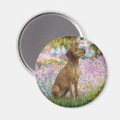 Aimant Jardin - Vizsla 1 (Recto/Verso)