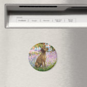 Aimant Jardin - Vizsla 1 (In Situ (Lave-vaisselle))