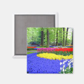 AIMANT JARDINS DE KEUKENHOF, HÔTEL DE LISSE (Recto/Verso)
