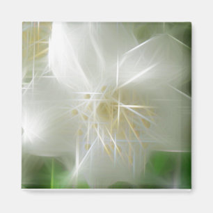 Aimant Jasmine brillante blanche