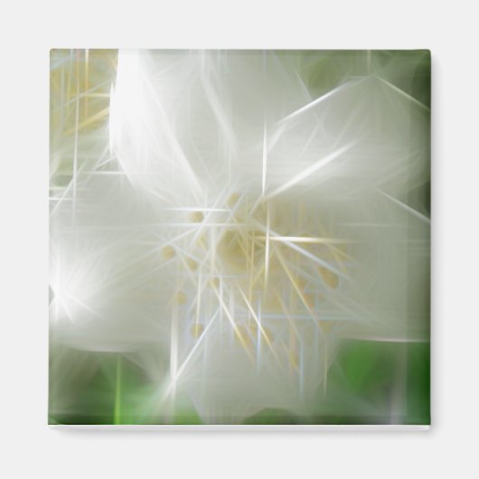 Aimant Jasmine brillante blanche (Devant)