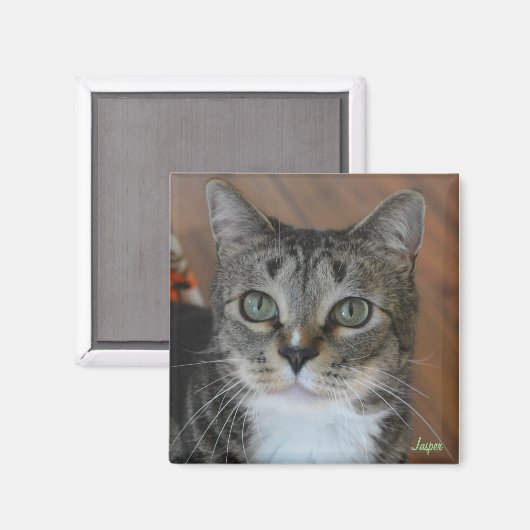 Aimant Jasper (Recto/Verso)