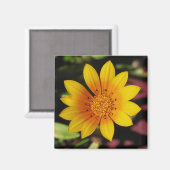 Aimant Jaune (Recto/Verso)