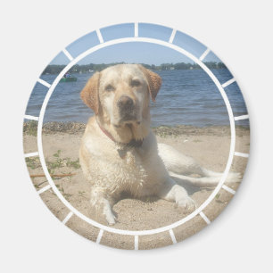 Aimant jaune de labrador retriever
