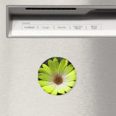 Aimant Jaune Fluorescent (In Situ (Lave-vaisselle))