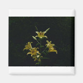 Aimant Jaune Jaune Jaune, Tom Wurl (Devant)