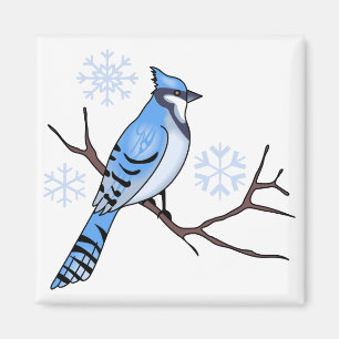 Aimant Jay bleu d'hiver