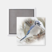 Aimant Jay bleu en hiver (Recto/Verso)