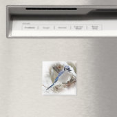 Aimant Jay bleu en hiver (In Situ (Lave-vaisselle))