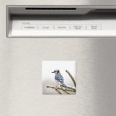 Aimant Jay bleu en hiver (In Situ (Lave-vaisselle))