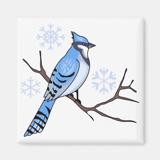 Aimant Jay bleu hiver (Devant)