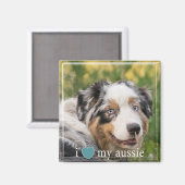 Aimant J'Coeur Ma Frontière Blanche De Berger Australien  (Recto/Verso)