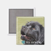 Aimant J'Coeur Ma Newfie Terre-Neuve Frontière Blanche (Recto/Verso)