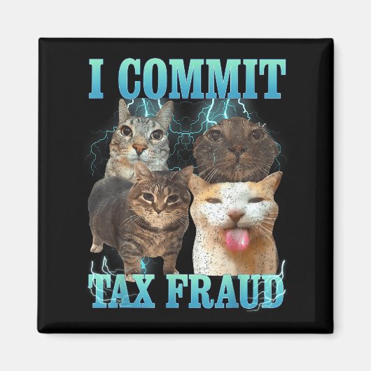 Aimant Je Commet une Fraude Fiscale Mème de Chat Drôle Gr (Devant)