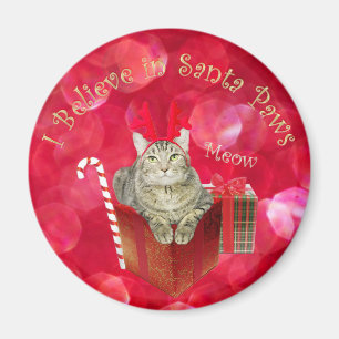 Aimant Je crois en Père Noël Paws