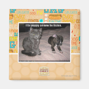 Aimant Je fixe le chiot