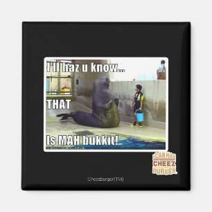 Aimant Je le haz u saurai