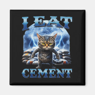 Aimant Je Mange Du Ciment Maudit Chat Drôle Mème Curieuse