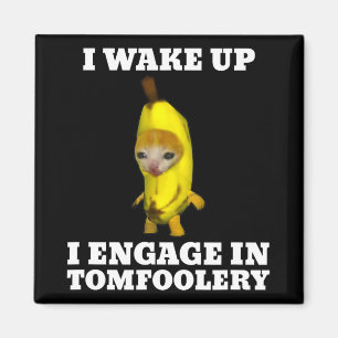 Aimant Je Me Réveille Je Me Met À Tomfoolery Chat Meme