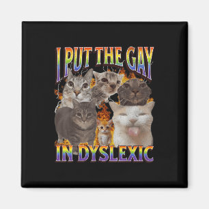 Aimant Je Mets Gay Dans Dyslexique Mème De Chat Drôle Boo