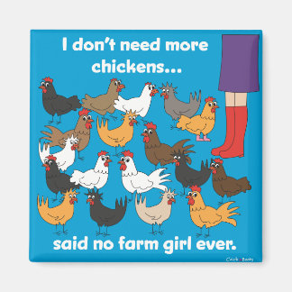 Aimant Je n'ai pas besoin de plus de poulets...