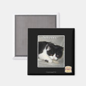 Aimant Je n'ai pas été 2 (Recto/Verso)