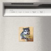 Aimant Je ne suis pas gros, je suis juste un petit Husky  (In Situ (Lave-vaisselle))