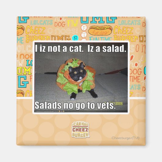 Aimant Je ne suis pas un chat. Iz une salade. (Devant)
