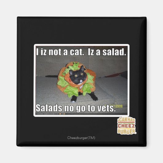 Aimant Je ne suis pas un chat. Iz une salade. (Devant)