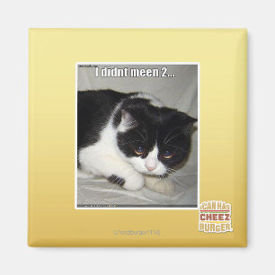 Aimant Je pas meen 2