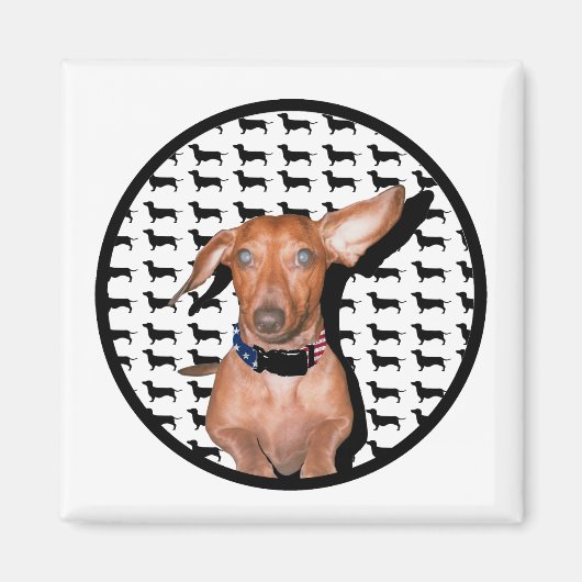 Aimant Je Peux Vous Entendre (Devant)