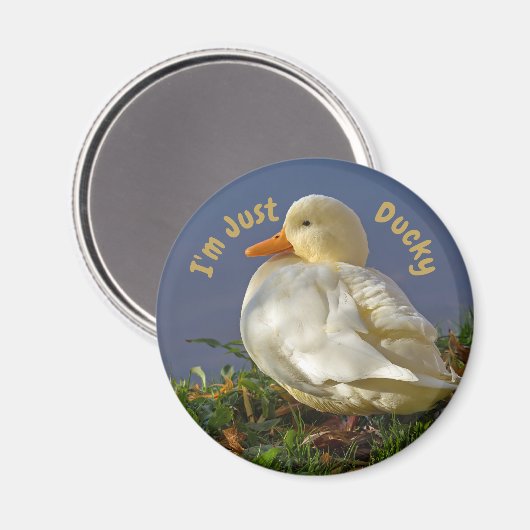 Aimant Je suis juste canard (Recto/Verso)