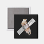 Aimant Je suis la meilleure banane ! (Recto/Verso)