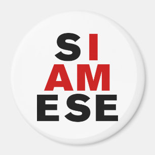 AIMANT JE SUIS SIAMESE