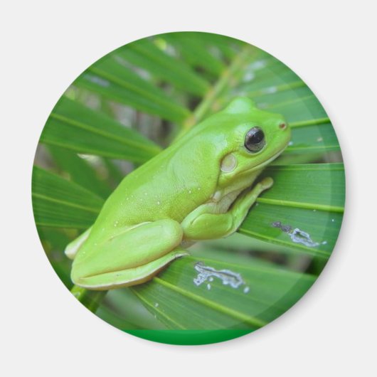 Aimant Je suis Vert (Devant)